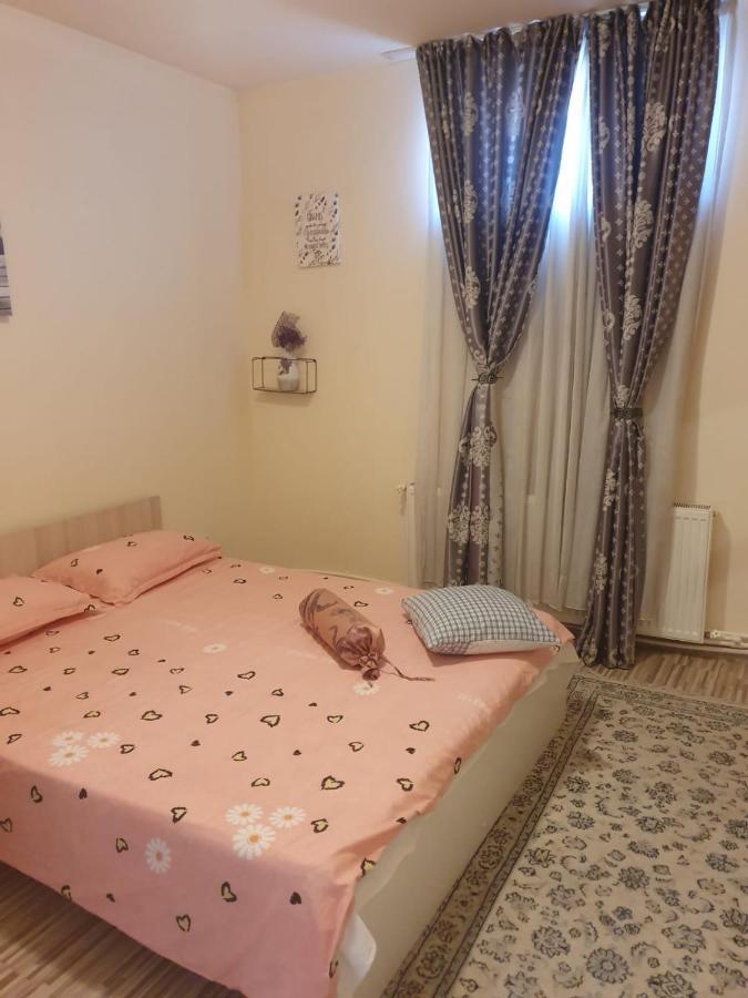 Relax Haus Hotell Hunedoara Eksteriør bilde